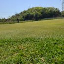 개미골프 연습장 이미지