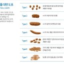 대변으로 알아보는 건강 이미지