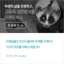 인천신송초등학교 이미지