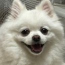 알마니농장 | 나애 소중한 일상