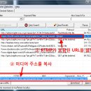 다운미디어