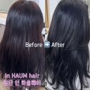 인하움 | 첨단 미용실 인하움헤어 톤다운 염색, 셀프염색 복구 성공