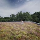 달팽이하우스 이미지