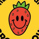 싱싱딸기 이미지