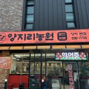농원 | [용인 양지] 다양한 닭갈비 맛집 &#39;양지리농원&#39; 솔직 후기