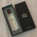 칠금초 | 2026年 3月