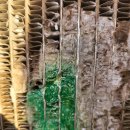 대승목장 이미지