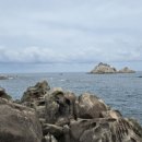 롱비치275 이미지