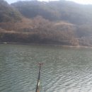 월곡낚시터 이미지