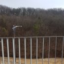 계룡공공직장어린이집 이미지