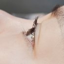원뷰티(WON BEAUTY)