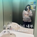 충주공용터미널화장실(외곽) | 도쿄 스카이라이너 이용 후기 좌석·짐 보관·화장실 위치 총정리