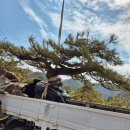 구암동387 이미지