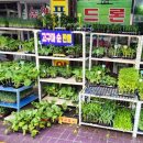 풍년농약사 이미지