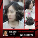 도로시헤어 이미지