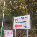 하동스윙점프 이미지