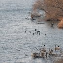 백화낚시터 이미지