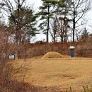 황윤길 묘 이미지