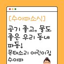 숲속하나몬테소리어린이집 | [몬테소리 어린이집] 자연 속에서도 함께 쑥쑥 자라는 수아파 친구들