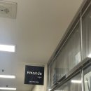 셀덤바이오 | [아망데] 부천속눈썹펌 잘하는 곳, 아이브로우리프팅 신세계