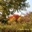 수리초교 이미지