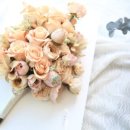 엔제이블라썸