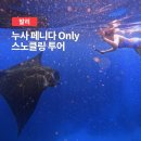 크리스탈베이 | 발리 스노클링 투어 추천! 누사페니다 만타가오리 크리스탈베이 보트투어 후기