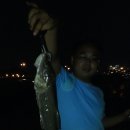 고바위들2 이미지