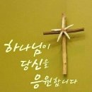 성구 Daum카페