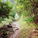 바램이머무는곳 이미지