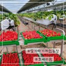 코베리팜