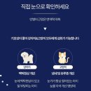 멍멍아 | 한방 영양제 &amp; 고양이 눈물자국 영양제 :) 고양이 &amp; 강아지 눈 영양제 추천 / 멍냥한첩 울지마멍멍아]