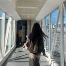 (주)제주협재콘도미니엄 | [제주서쪽여행-1일차]몰래물밥상, 둘레길협재금능,플랜트827카페 다녀왔어요✈️