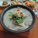 하양사진 이미지