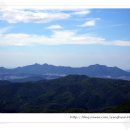 수원-0426 Daum카페