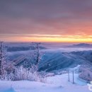 (주)코리아렌탈서비스 이미지