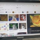 대전본동물병원 이미지