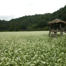 재미있는 역사 여행 이미지