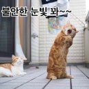 스타동전노래연습장 이미지