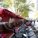 북경동인당한의원 이미지