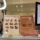 오띠모도떼 이미지