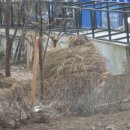 천천게이트볼장 이미지