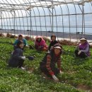 마근담마을 이미지