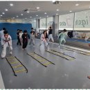 참교육타이거 태권도장 | 진주태권도장 자녀의 꿈을 키우는 블랙타이거태권도장 이야기