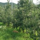 지성농장 이미지