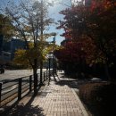 분당-129 | 분당미용실 헤리안 클리닉과 망한 레이어드컷 복구 후기