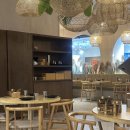 아그라 | 타임빌라스 수원점 맛집 추천 커리 내돈내산 후기 | 아그라