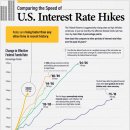 미국 금리 인상 속도 비교(1988-2022) 이미지