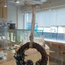 멜트그라운드 이미지