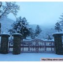 태화목장 이미지